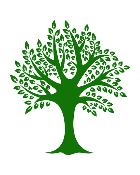 Gröna träd på vit bakgrund vektor — Stock vektor