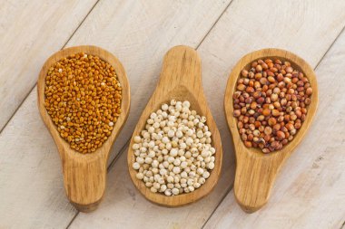 Bir grup küçük tohum ile çeşitli tahıl bitkileri millets oluştururlar