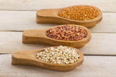 Bir grup küçük tohum ile çeşitli tahıl bitkileri millets oluştururlar