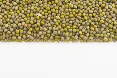 Besleyici mung fasulye