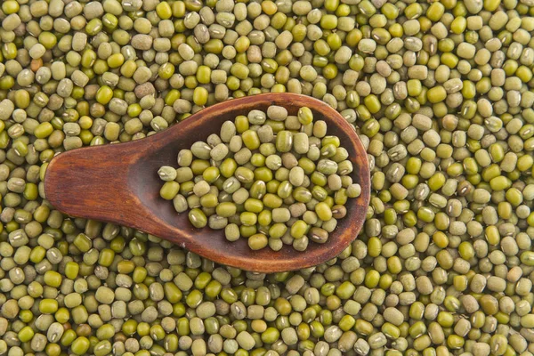 Voedzame mung bean — Stockfoto