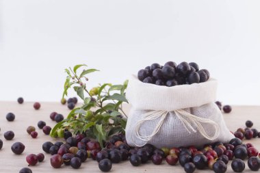 Farklı arka planlar (Vaccinium meridionale üzerinde yabani üzüm meyve)