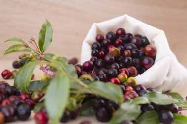 Farklı arka planlar (Vaccinium meridionale üzerinde yabani üzüm meyve)