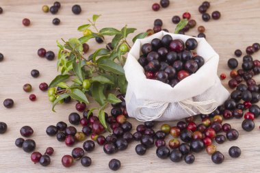 Farklı arka planlar (Vaccinium meridionale üzerinde yabani üzüm meyve)
