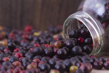 Farklı arka planlar (Vaccinium meridionale üzerinde yabani üzüm meyve)