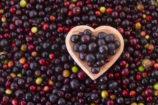 Fruits of wild grapes on different backgrounds (Vaccinium meridionale) — Stock Photo, Image