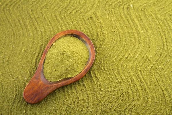 Moringa 잎에 지상 (Moringa oleifera) — 스톡 사진