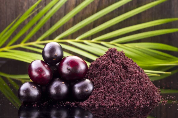 Die amazonische Acai-Frucht (euterpe oleracea)) — Stockfoto