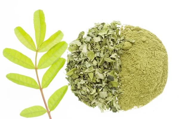 Listy a moringa prášek izolovaných na bílém pozadí – Moringa oleifera — Stock fotografie