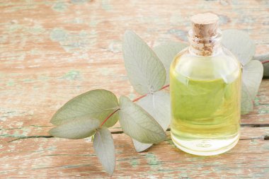 Okaliptüs yağı ve ahşap masa yapraklarda