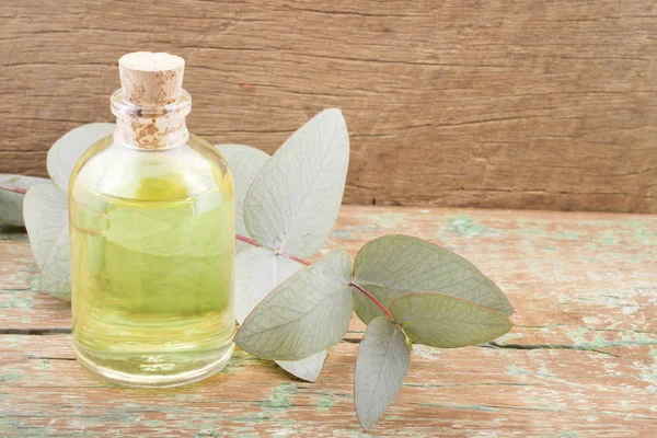 Eucalyptus oil and leaves on wooden table — Stock Photo, Image