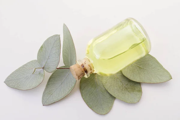 Aceite de eucalipto y hojas — Foto de Stock