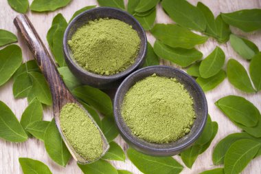 Yaprakları ve odun (moringa oleifera moringa tozu)
