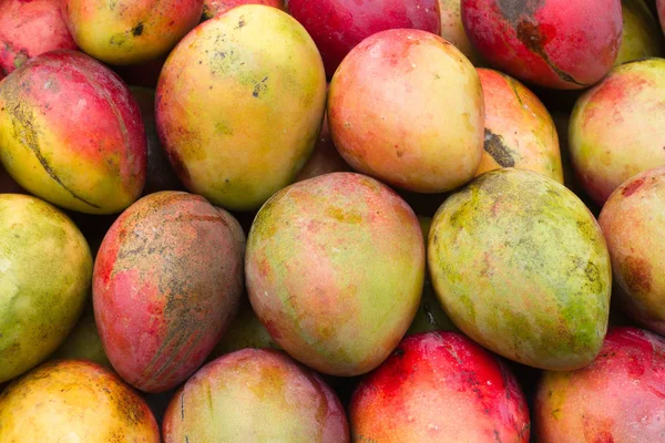 Taze Mango süpermarket - Mangifera indica satmaya hazır yığını