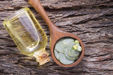 odun özü ve okaliptüs yaprakları