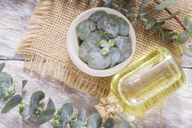 odun özü ve okaliptüs yaprakları