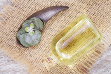 odun özü ve okaliptüs yaprakları