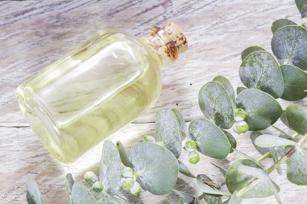 Essence and eucalyptus leaves on wood — Stock Photo, Image