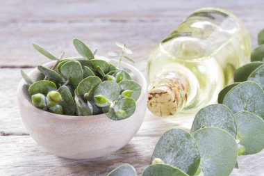 odun özü ve okaliptüs yaprakları