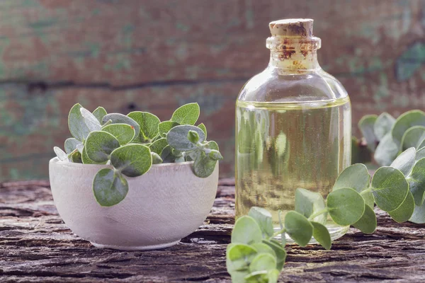 odun özü ve okaliptüs yaprakları