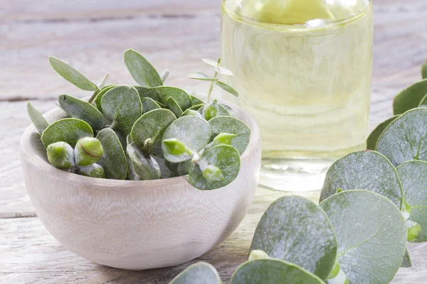 odun özü ve okaliptüs yaprakları