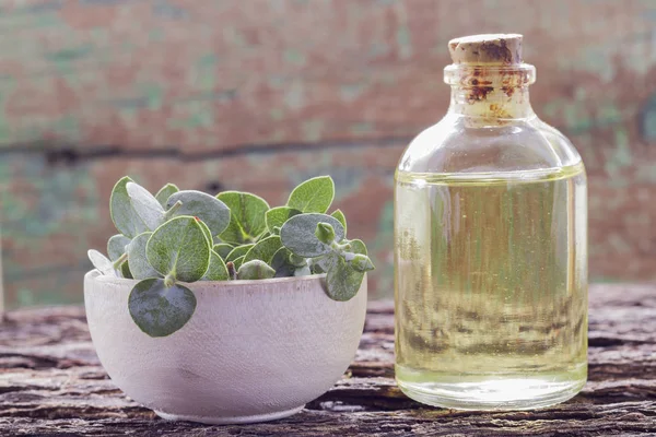 odun özü ve okaliptüs yaprakları