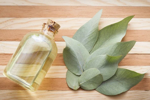 Leaves and eucalyptus oil on wooden background — Stock Photo, Image