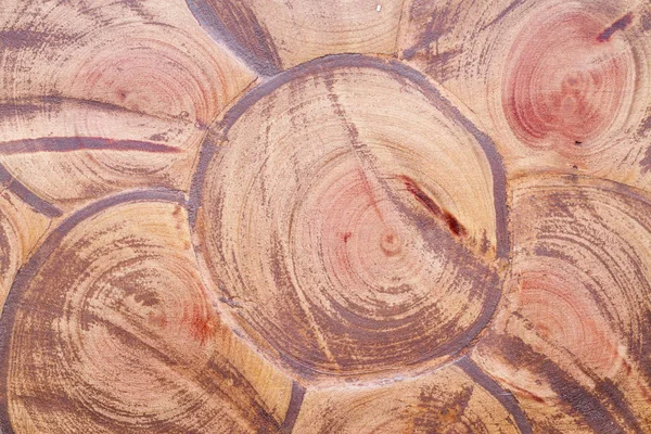 texture of cross sections of the tree, joined together