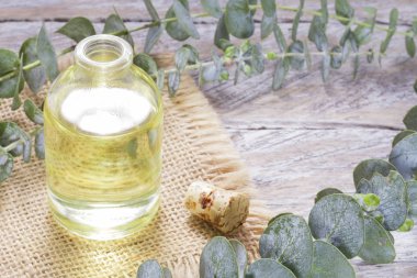 ahşap masa üzerinde petrol ve okaliptüs yaprakları