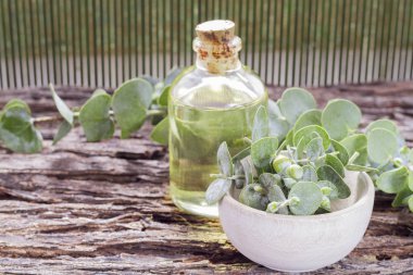 ahşap masa üzerinde petrol ve okaliptüs yaprakları