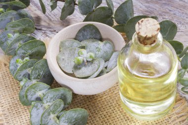 ahşap masa üzerinde petrol ve okaliptüs yaprakları