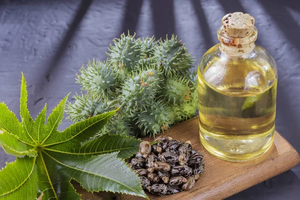 Beans and castor oil on the black table — Stock Photo, Image