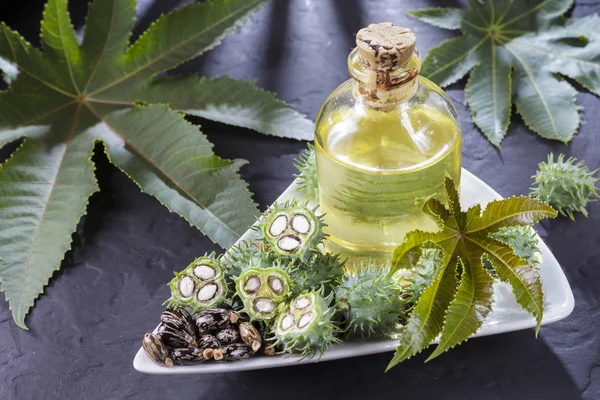 Beans and castor oil on the black table — Stock Photo, Image