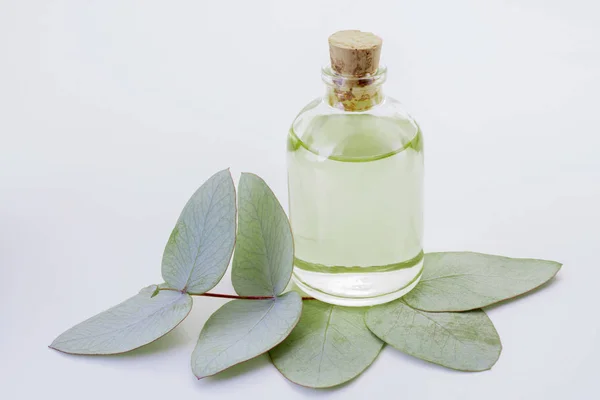 Jar with oil and eucalyptus leaves isolated on white background — Stock Photo, Image