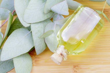 ahşap üzerine petrol ve okaliptüs yaprakları ile jar