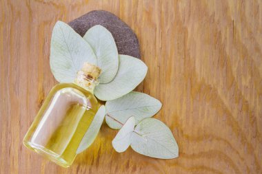 ahşap üzerine petrol ve okaliptüs yaprakları ile jar