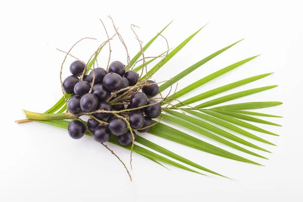 Açaí em um fundo branco _ (Euterpe Oleracea ) — Fotografia de Stock