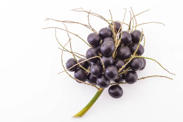 Beyaz arka plan _ (Euterpe Oleracea acai meyve)