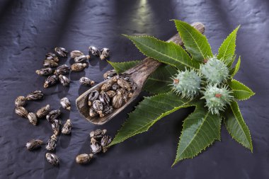 fasulye ve Hint yağı siyah masada