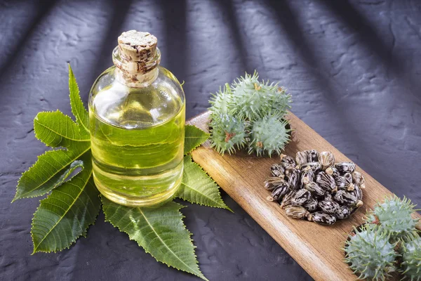 Beans and castor oil on the black table — Stock Photo, Image