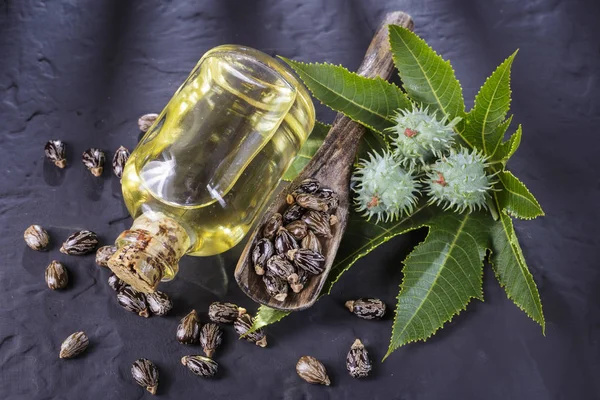 Beans and castor oil on the black table — Stock Photo, Image