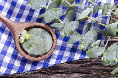 ahşap masa üzerinde petrol ve okaliptüs yaprakları