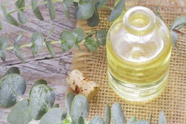 ahşap masa üzerinde petrol ve okaliptüs yaprakları