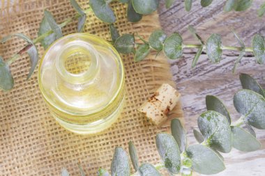 ahşap masa üzerinde petrol ve okaliptüs yaprakları