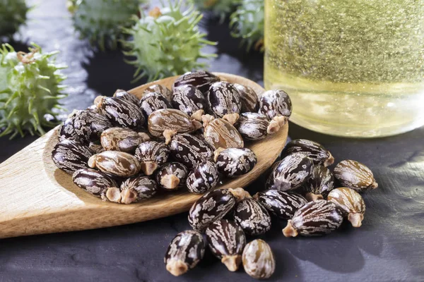 Frijoles y aceite de ricino sobre la mesa negra — Foto de Stock