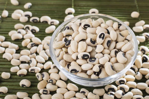 Black-headed beans, Vigna unguiculata — Stock Photo, Image