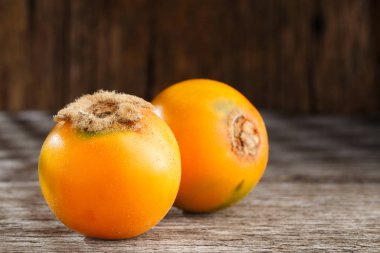 Güney Amerika 'nın kuzeybatısındaki tropikal bitki üzerinde Lulo veya Naranjilla meyvesi, yakın plan görüntüsü, Solanum quitoense