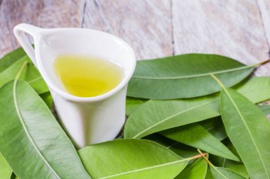 okaliptüs, okaliptüs yaprakları ahşap zemin üzerinde, kasede gerekli yağ