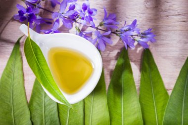 okaliptüs, okaliptüs yaprakları ahşap zemin üzerinde, kasede gerekli yağ