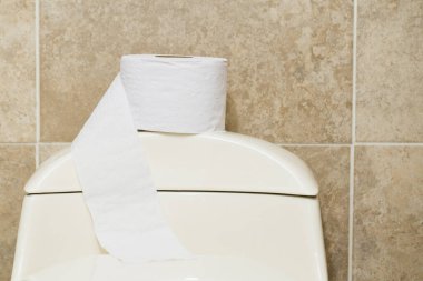 Tuvaletteki tuvalet kağıdı rulosu.